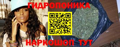 дмт Краснодар